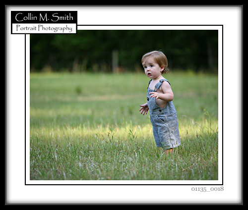 01135fb-018 01135fb-018